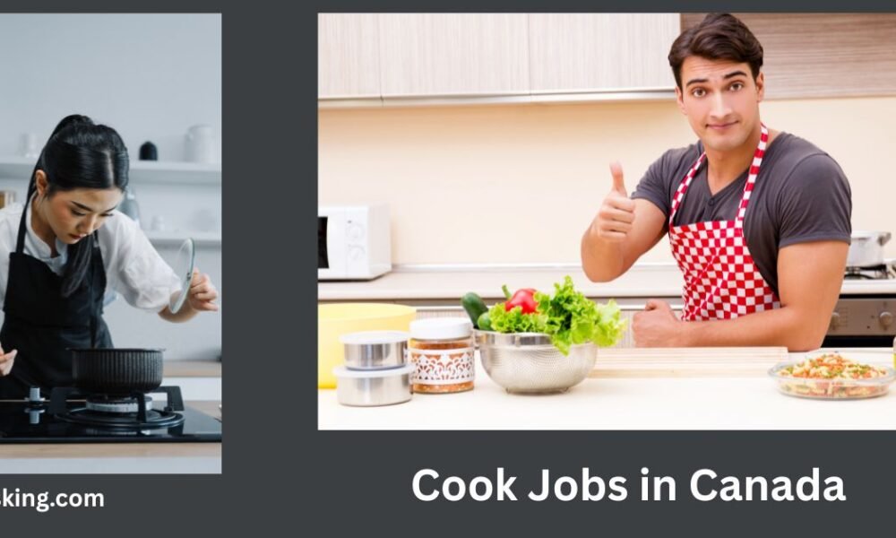 Cook Jobs in Dubai