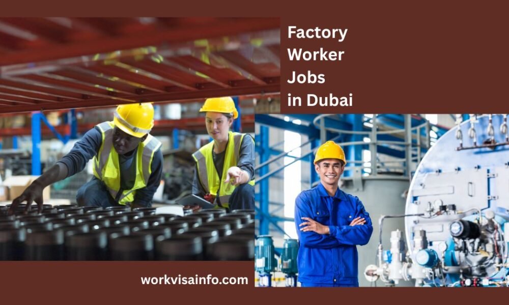 Factory Worker Jobs in Dubai