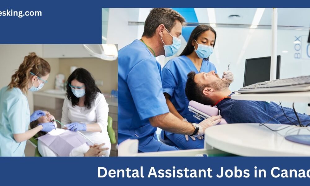 Dental Assistant Jobs in Canada